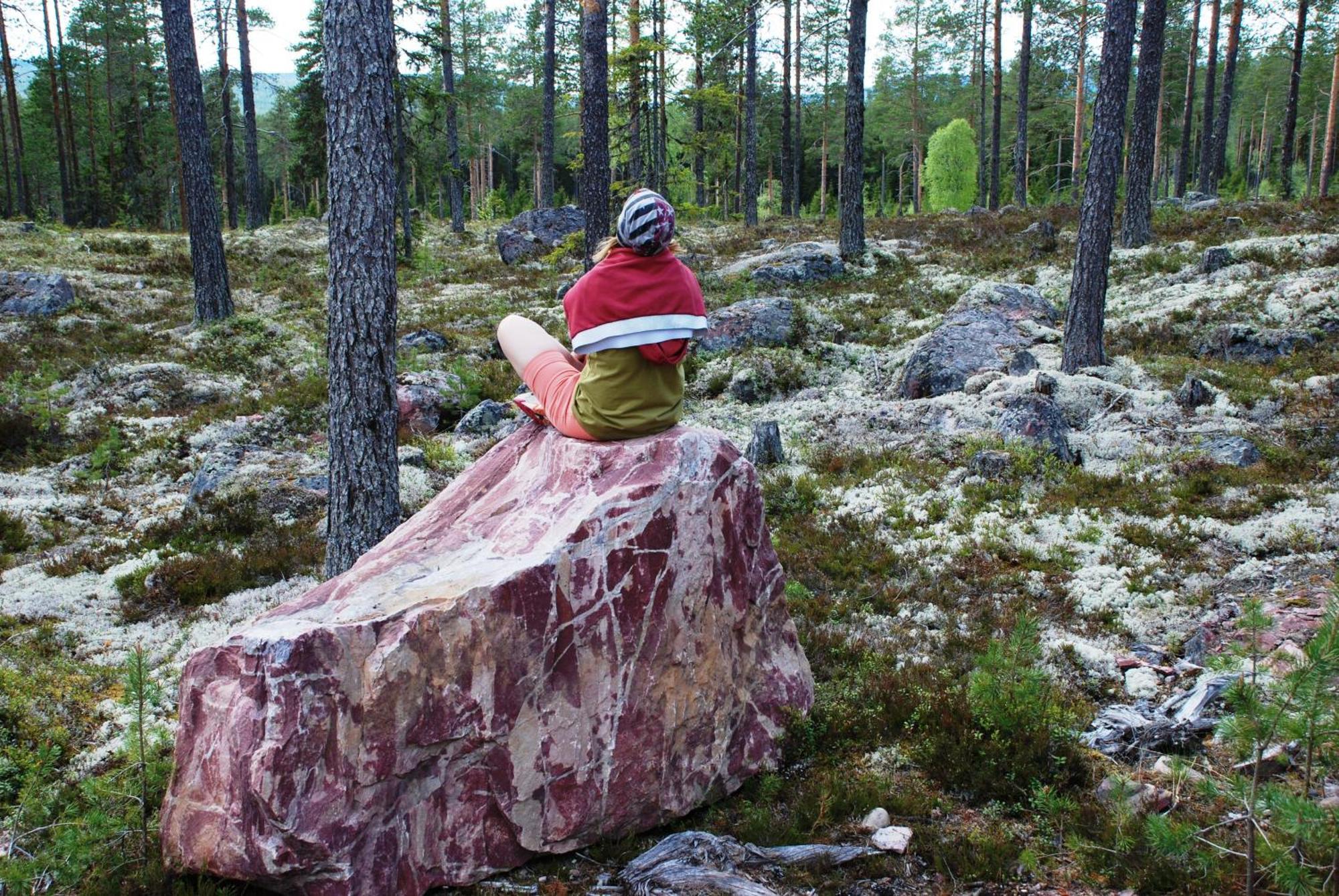 12 - Fulufjellets Nasjonalparker - Natur-, Dyre- Og Fugleopplevelser Ljordal Exterior photo