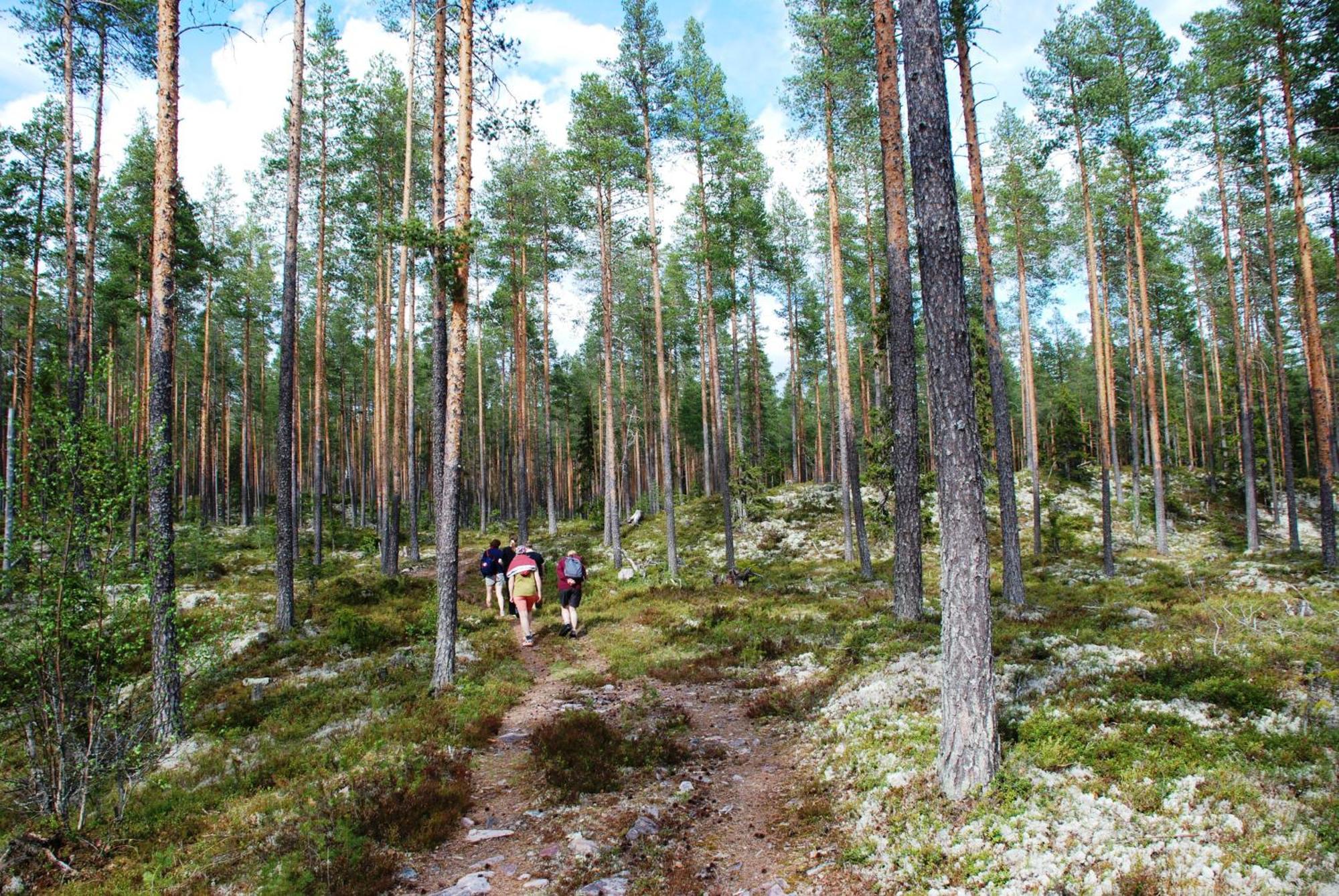 12 - Fulufjellets Nasjonalparker - Natur-, Dyre- Og Fugleopplevelser Ljordal Exterior photo