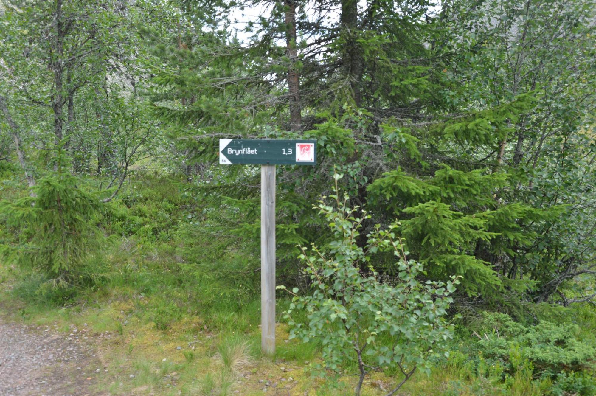 12 - Fulufjellets Nasjonalparker - Natur-, Dyre- Og Fugleopplevelser Ljordal Exterior photo