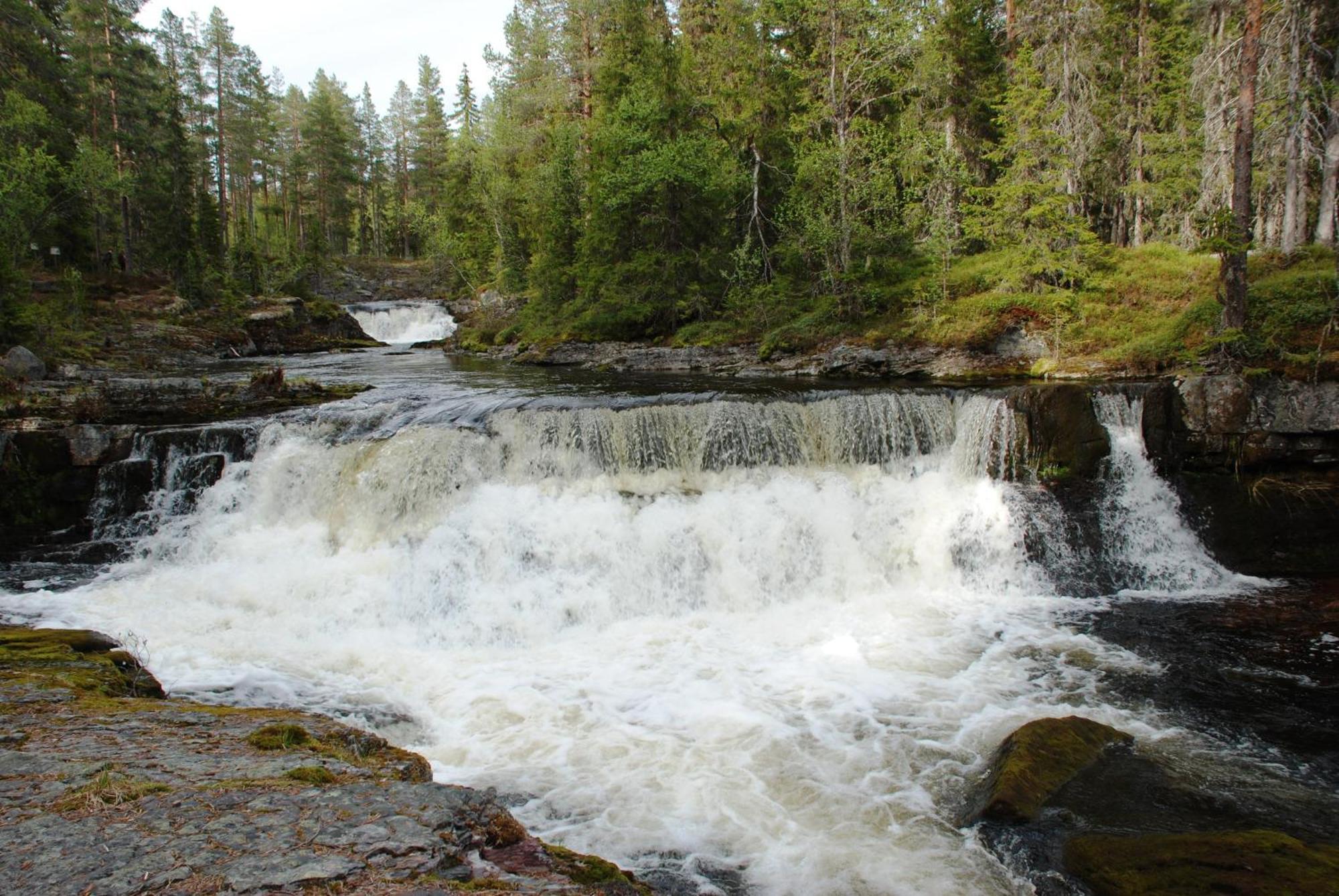 12 - Fulufjellets Nasjonalparker - Natur-, Dyre- Og Fugleopplevelser Ljordal Exterior photo