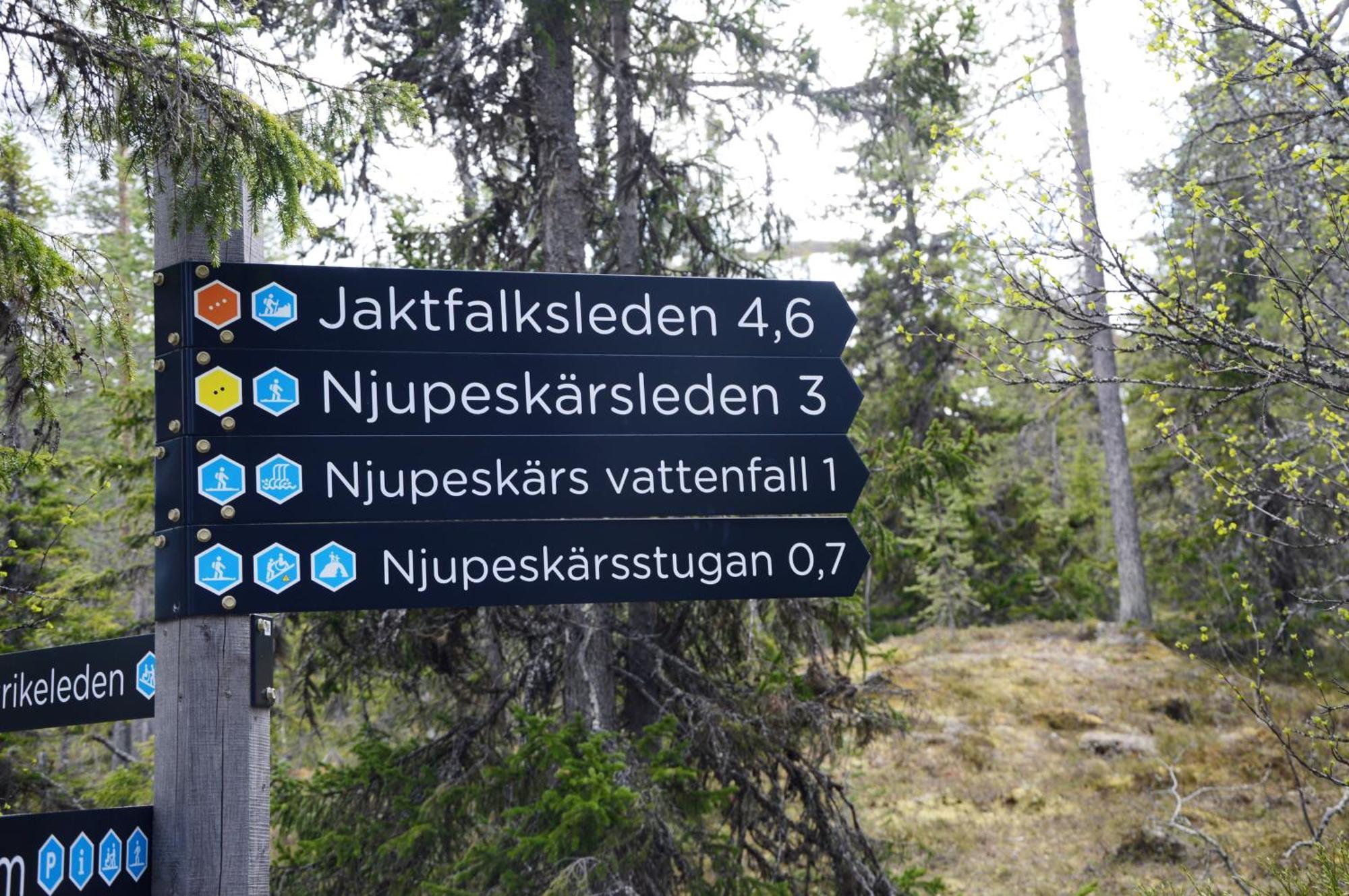 12 - Fulufjellets Nasjonalparker - Natur-, Dyre- Og Fugleopplevelser Ljordal Exterior photo