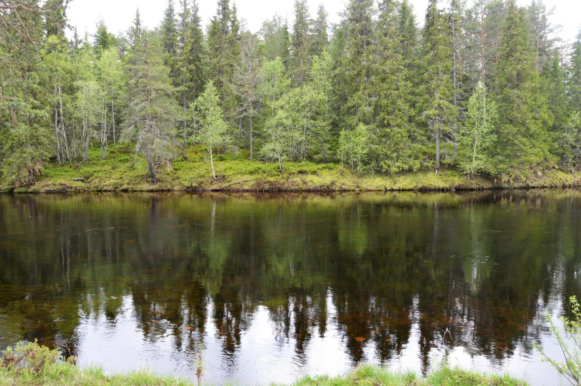 12 - Fulufjellets Nasjonalparker - Natur-, Dyre- Og Fugleopplevelser Ljordal Exterior photo
